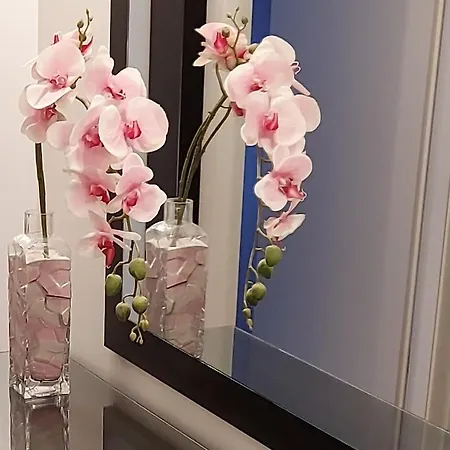 Hestia 3 Bdr Σπλιτ